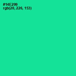 #14E299 - Caribbean Green Color Image