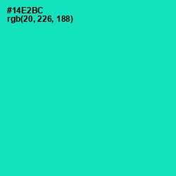 #14E2BC - Caribbean Green Color Image