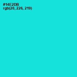 #14E2DB - Bright Turquoise Color Image