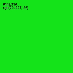#14E31A - Green Color Image