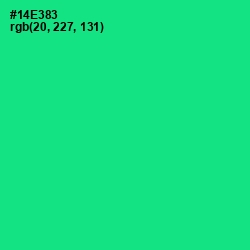 #14E383 - Caribbean Green Color Image