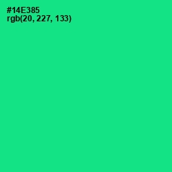 #14E385 - Caribbean Green Color Image