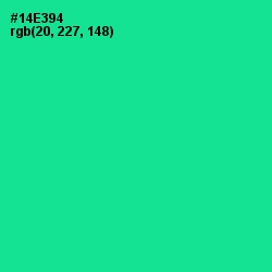 #14E394 - Caribbean Green Color Image