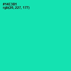 #14E3B1 - Caribbean Green Color Image