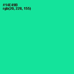 #14E49B - Caribbean Green Color Image