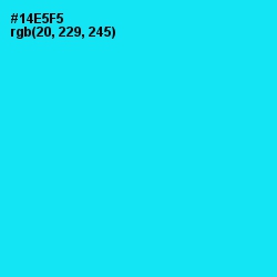 #14E5F5 - Cyan / Aqua Color Image