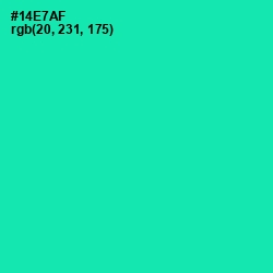 #14E7AF - Caribbean Green Color Image