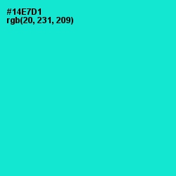 #14E7D1 - Bright Turquoise Color Image