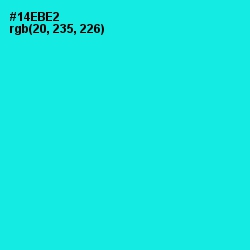 #14EBE2 - Cyan / Aqua Color Image