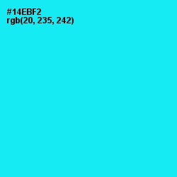 #14EBF2 - Cyan / Aqua Color Image