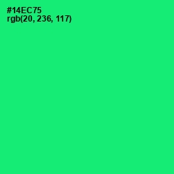 #14EC75 - Spring Green Color Image