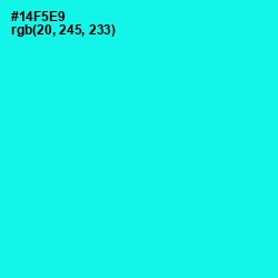 #14F5E9 - Cyan / Aqua Color Image