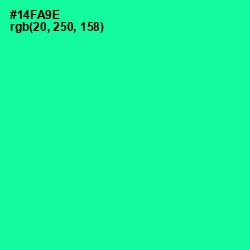 #14FA9E - Caribbean Green Color Image