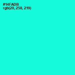 #14FADB - Bright Turquoise Color Image