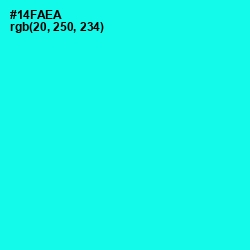#14FAEA - Cyan / Aqua Color Image
