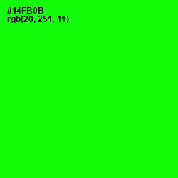 #14FB0B - Green Color Image