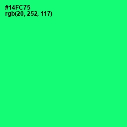 #14FC75 - Spring Green Color Image