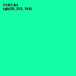 #14FCA4 - Caribbean Green Color Image