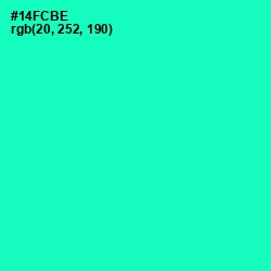 #14FCBE - Caribbean Green Color Image