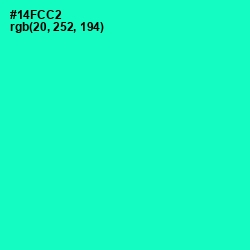 #14FCC2 - Bright Turquoise Color Image