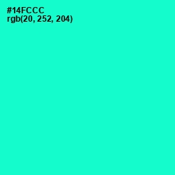 #14FCCC - Bright Turquoise Color Image