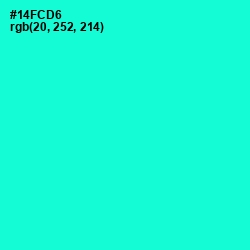 #14FCD6 - Bright Turquoise Color Image