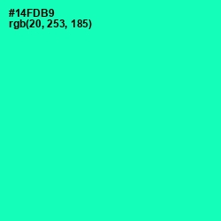 #14FDB9 - Caribbean Green Color Image