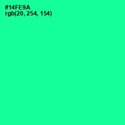 #14FE9A - Caribbean Green Color Image