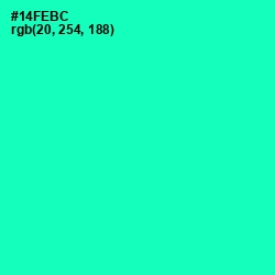 #14FEBC - Caribbean Green Color Image