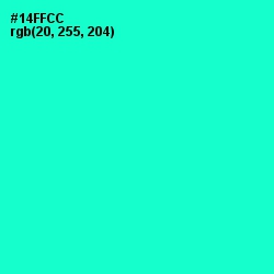 #14FFCC - Bright Turquoise Color Image