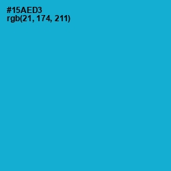 #15AED3 - Cerulean Color Image