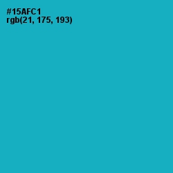 #15AFC1 - Cerulean Color Image