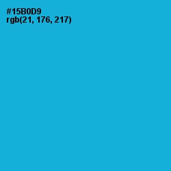 #15B0D9 - Cerulean Color Image