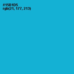 #15B1D5 - Cerulean Color Image