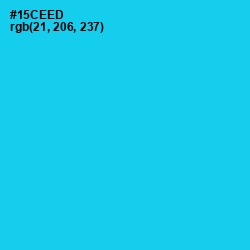 #15CEED - Bright Turquoise Color Image