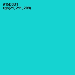 #15D3D1 - Robin's Egg Blue Color Image