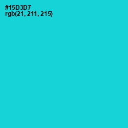 #15D3D7 - Robin's Egg Blue Color Image