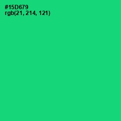 #15D679 - Malachite Color Image