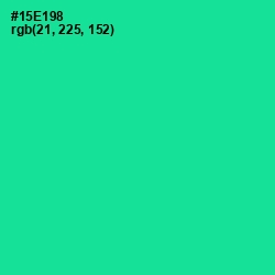 #15E198 - Caribbean Green Color Image