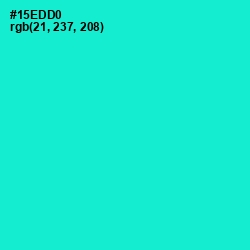#15EDD0 - Bright Turquoise Color Image