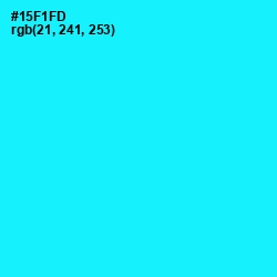 #15F1FD - Cyan / Aqua Color Image