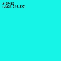 #15F4E6 - Cyan / Aqua Color Image
