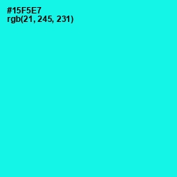 #15F5E7 - Cyan / Aqua Color Image