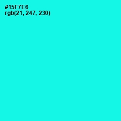 #15F7E6 - Cyan / Aqua Color Image