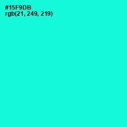 #15F9DB - Bright Turquoise Color Image