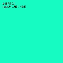 #15FBC1 - Bright Turquoise Color Image