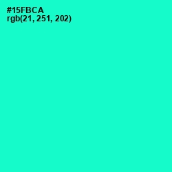 #15FBCA - Bright Turquoise Color Image