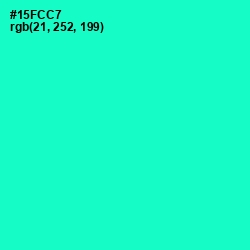 #15FCC7 - Bright Turquoise Color Image