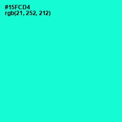 #15FCD4 - Bright Turquoise Color Image