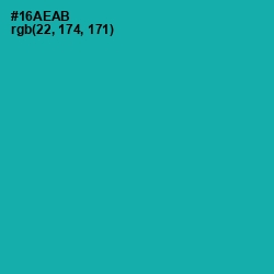 #16AEAB - Eastern Blue Color Image